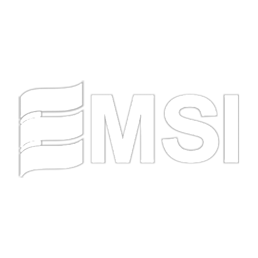 EMSI LOGO