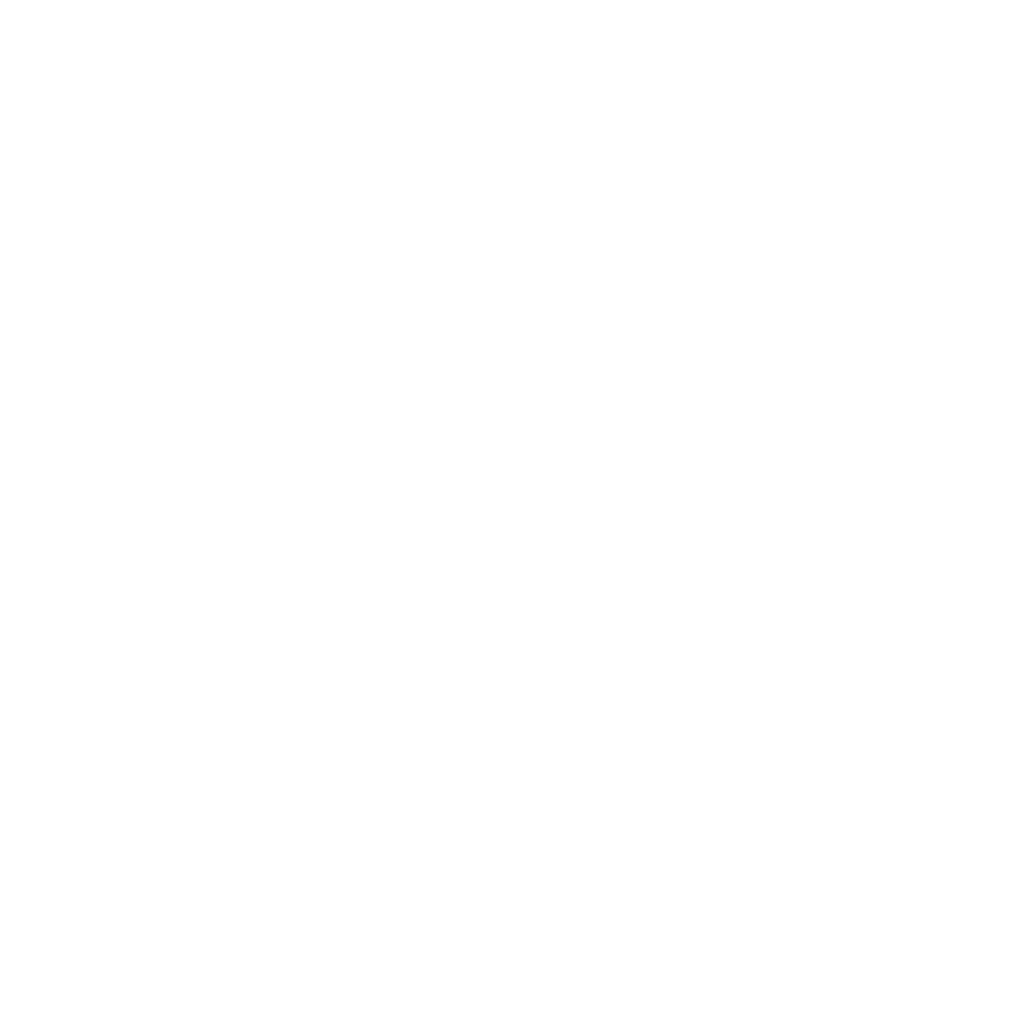 ERGOLAIN LOGO